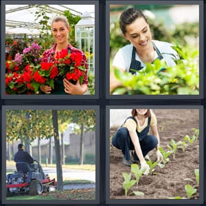 woman selling flowers, woman growing plants, man mowing yard, woman planting with soil