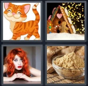 Cat, Gingerbread, Redhead, Spice