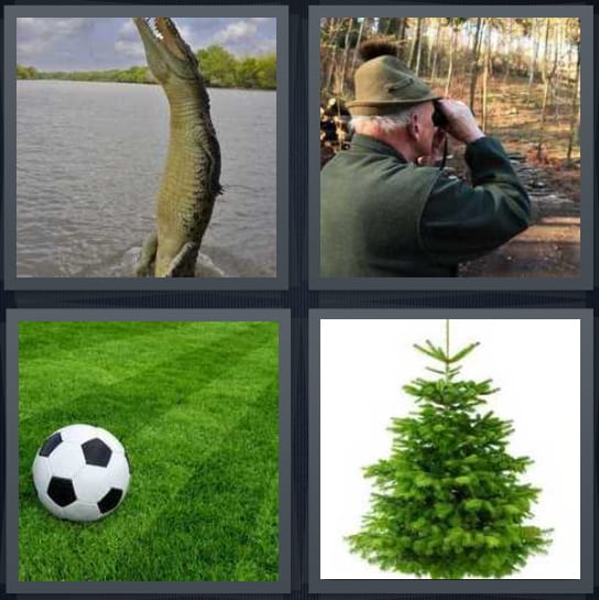 Alligator, Birdwatcher, Soccer, Tree