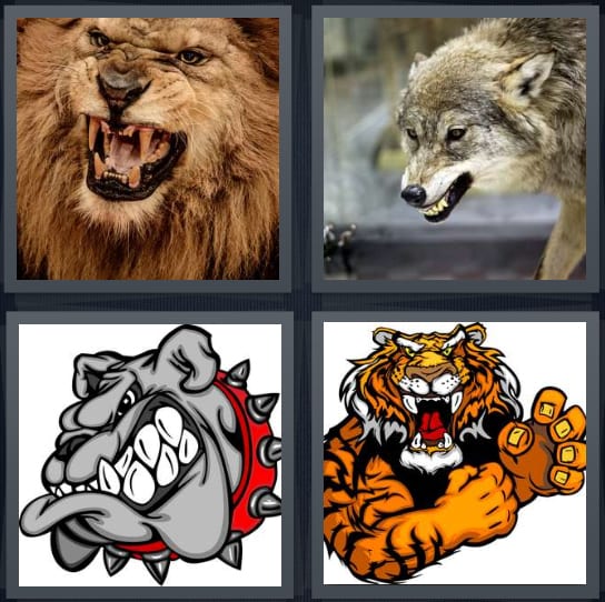 Lion, Wolf, Bulldog, Tiger