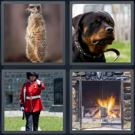 Prairie Dog, Dog, Beefeater, Fireplace