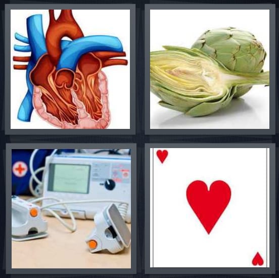 Valves, Artichoke, Defibrillator, Ace