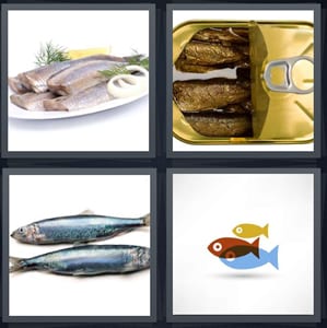 fish filets to grill, sardine tin, silver fish from water, fish drawing