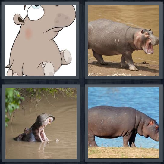 Cartoon, Animal, Mouth, Hippopotamus