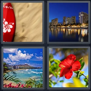 surfboard with flower pattern, city skyline on water, beach with green water, red flower in sunlight