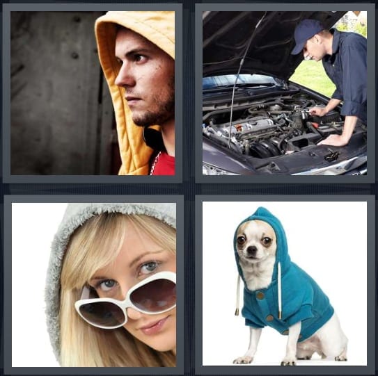 Hoodie, Engine, Sunglasses, Dog