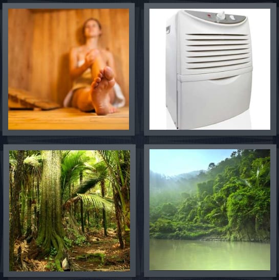 Sauna, Dehumidifier, Jungle, Amazon