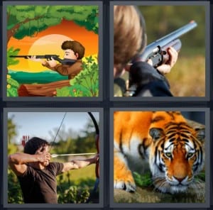 Shoot, Gun, Arrow, Tiger