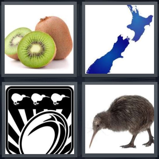 Fruit, New Zealand, Mascot, Bird