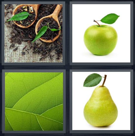 Plant, Apple, Veins, Pear