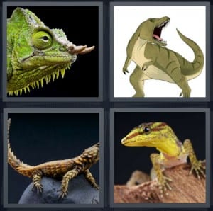 Iguana, Dinosaur, Reptile, Gecko