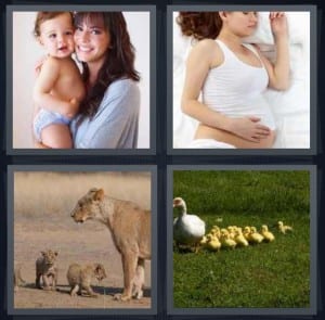 Parent, Pregnant, Lions, Ducks