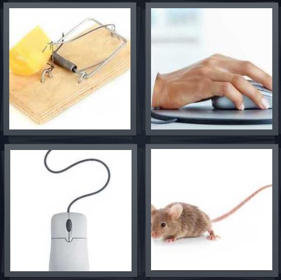 Trap, Computer, Cord, Rodent
