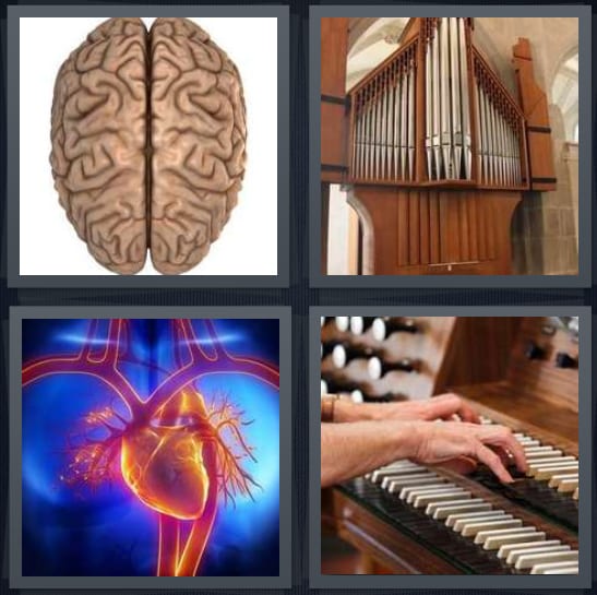Brain, Pipes, Heart, Piano