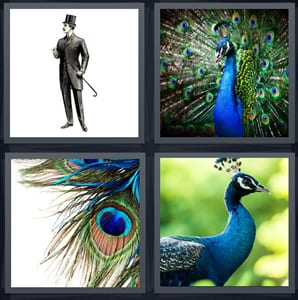 Victorian man with tophat and cane, blue bird with pretty feathers, feather looks like eye, blue bird with head plume
