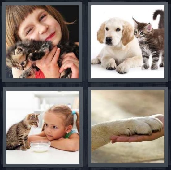 Child, Puppy, Kitten, Paw
