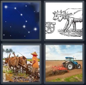 Stars, Ox, Farmer, Tractor