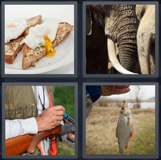 Eggs, Elephant, Hunt, Fish