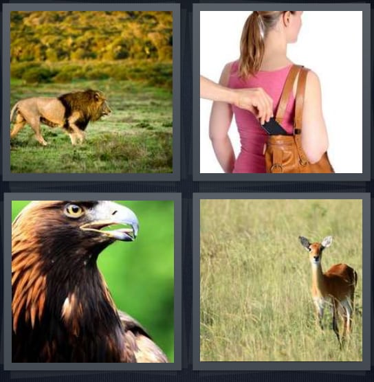 Lion, Pickpocket, Eagle, Deer