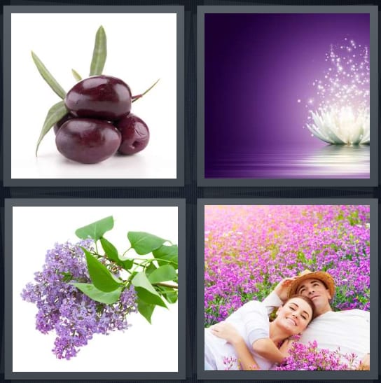 Eggplant, Lotus, Lilacs, Flowers