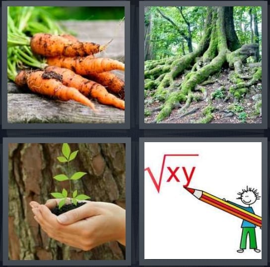 Carrots, Tree, Sprout, Math