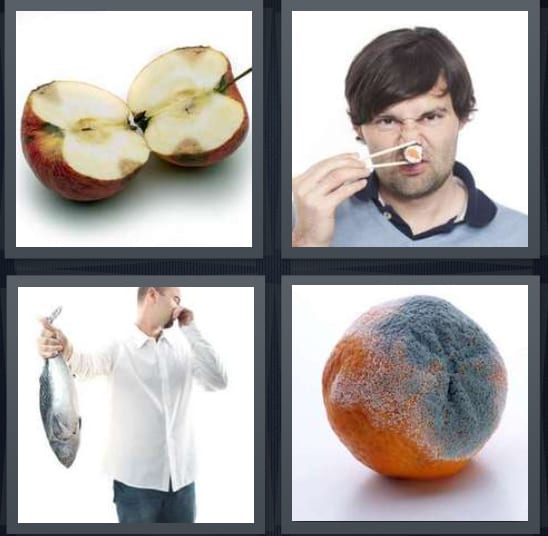 Apple, Stink, Fish, Mold