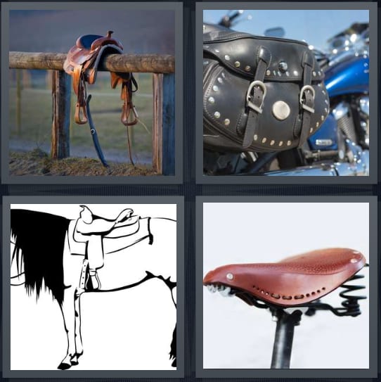 Pen, Holster, Horse, Bike