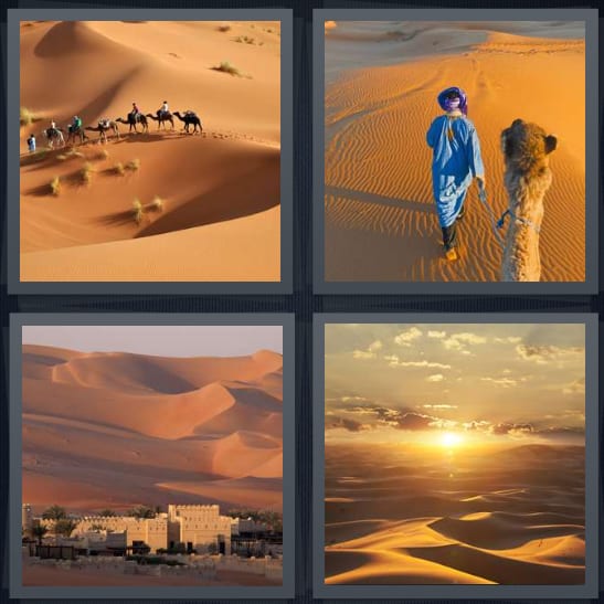 Desert, Camel, Citadel, Sand