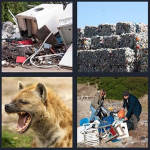 electronics in trash, stuff from landfill stacked, hyena in wild with teeth bared, couple rummaging through trash