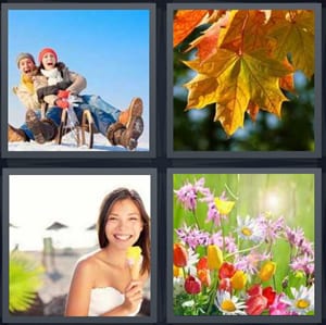 couple sledding on snow in winter, colored leaves on tree in fall, woman eating ice cream outside summer, spring flowers in field