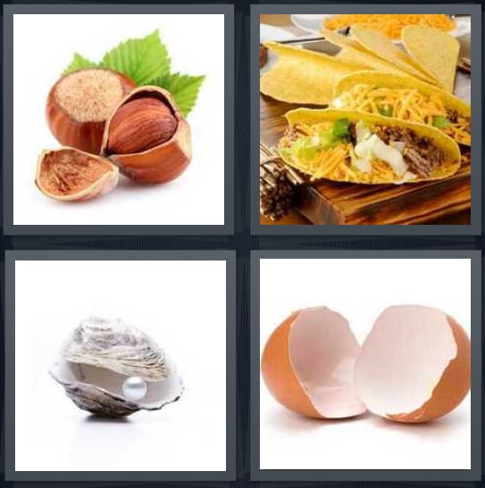 Nut, Taco, Oyster, Egg