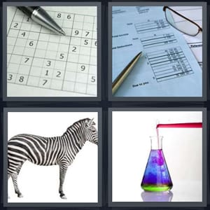 sudoku puzzle on paper, utility bill due to you, zebra on white background, colorful liquid in science beaker