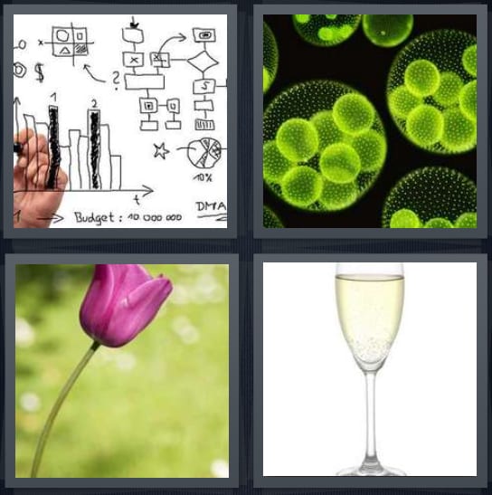Graph, Bacteria, Flower, Champagne
