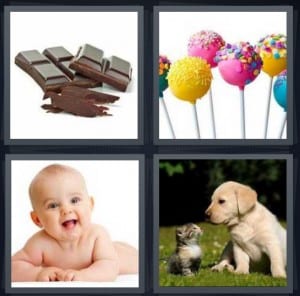 Chocolate, Lollipop, Baby, Puppy