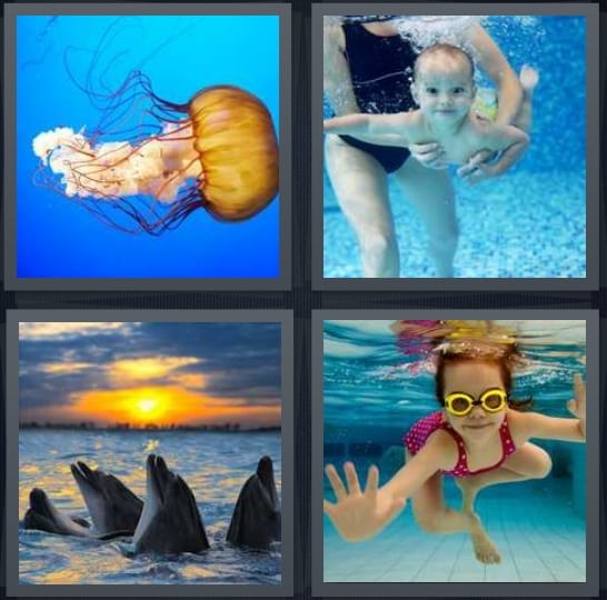 Jellyfish, Baby, Whales, Pool