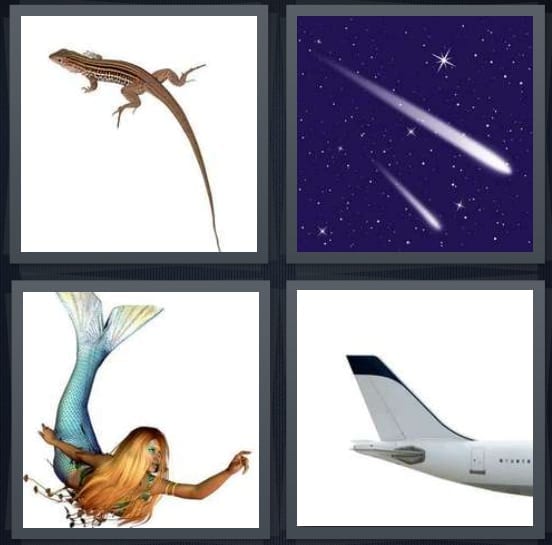 Lizard, Comet, Mermaid, Airplane