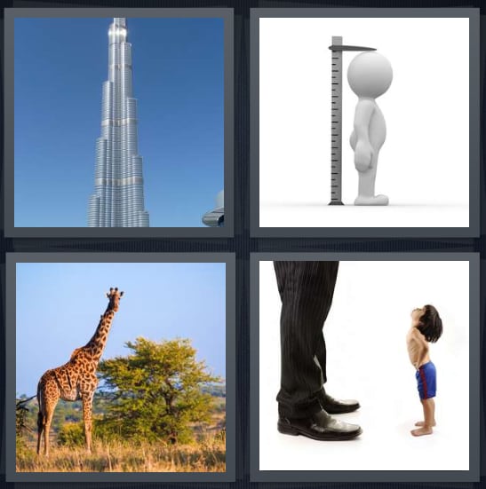 Skyscraper, Measure, Giraffe, Adult