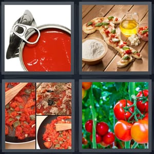 sauce in can, pizza in shape of Italy, Italian food red sauce, fruit on vine growing in garden