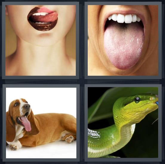 Lips, Mouth, Dog, Snake