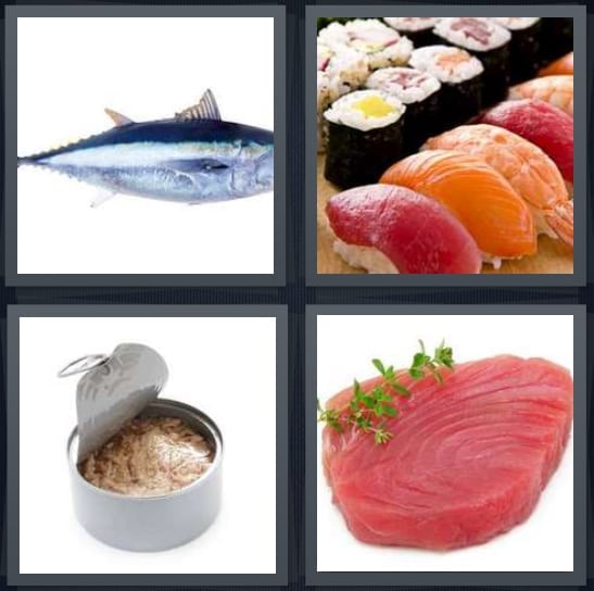 Fish, Sushi, Can, Steak