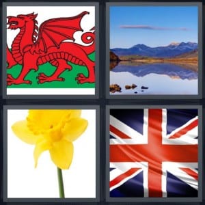 Dragon, Lake, Daffodil, Britain