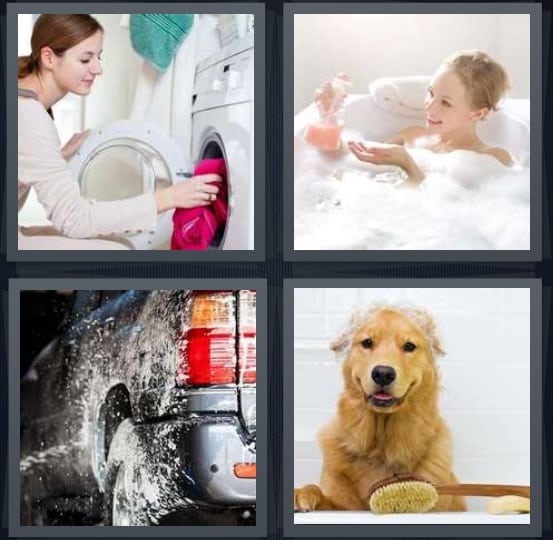 Laundry, Bubble, Car, Dog