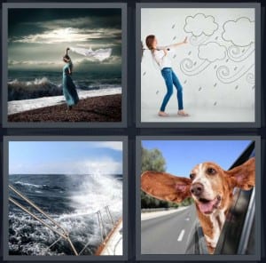 Beach, Storm, Sailboat, Dog