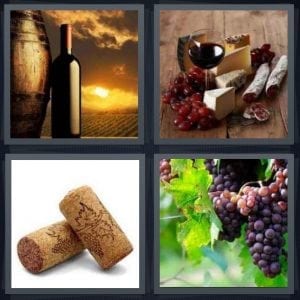 Numbers on wine labels crossword