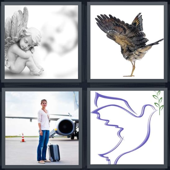 Angel, Bird, Airplane, Dove