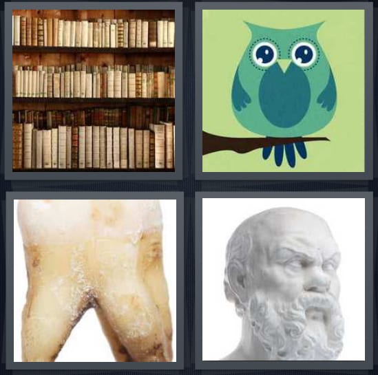 Book, Owl, Tooth, Statue