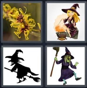 Flower, Cauldron, Broomstick, Magic