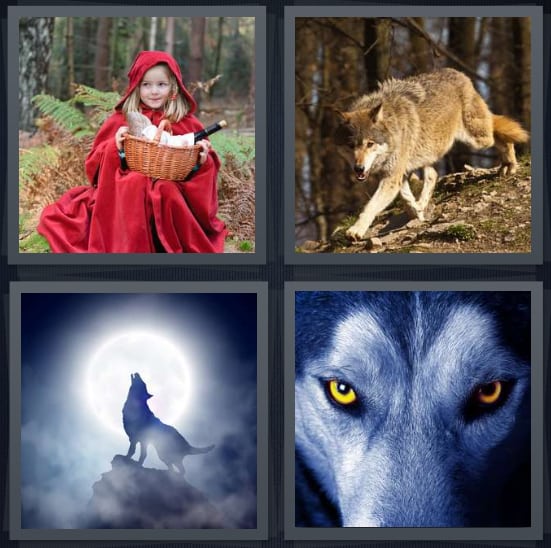 Riding Hood, Forest, Howl, Dog